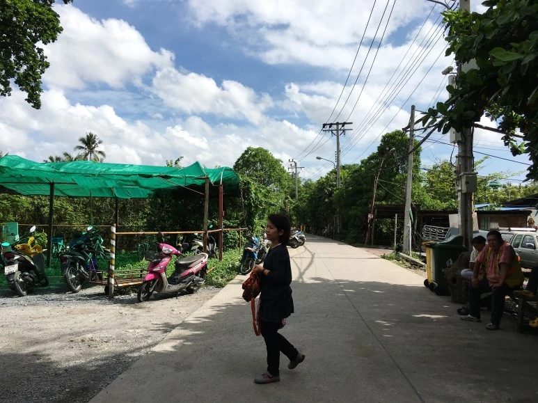 IMG_1323.jpg?type=w773