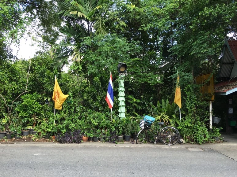 IMG_1325.jpg?type=w773