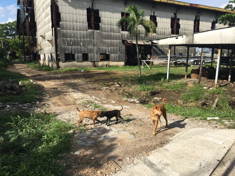 IMG_1346.jpg?type=w773