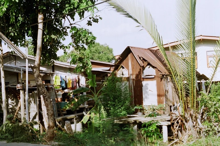 81490004.JPG?type=w773