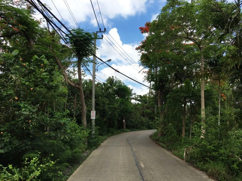 IMG_1324.jpg?type=w773