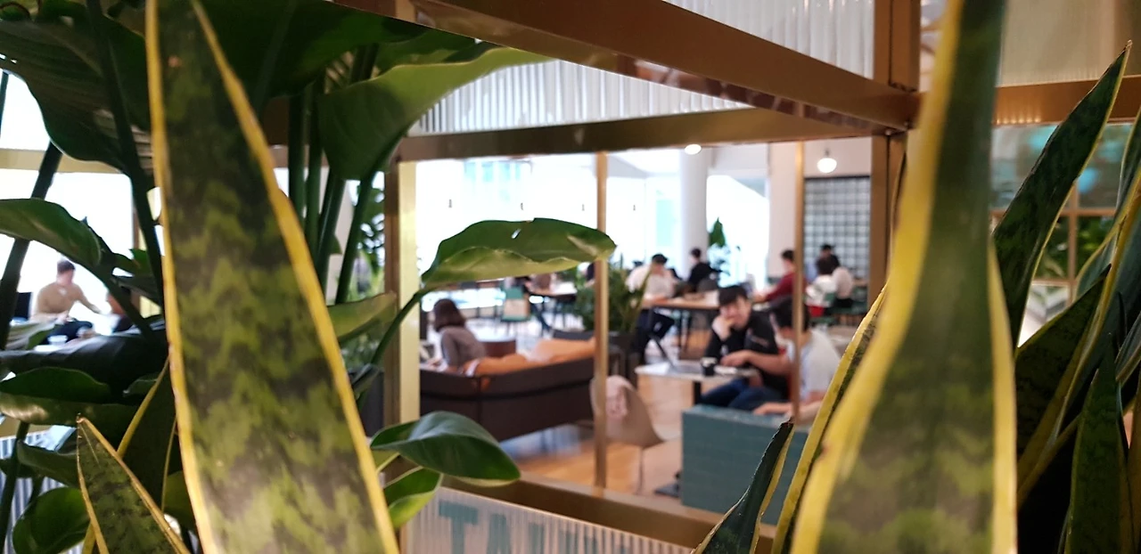 그림 10. 코워킹 스페이스에서 일하는 스타트업과 프리랜서들. 그들은 스스로 자신의 미래를 만드는 중이다.jpeg