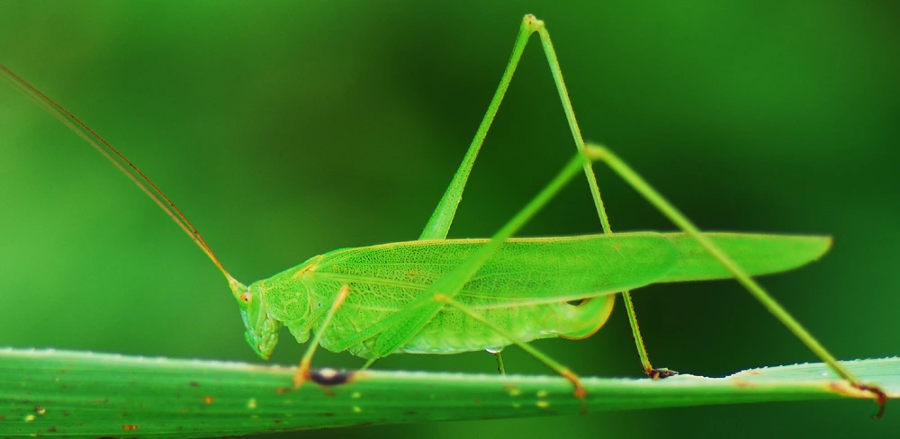 150953374FFA65D6254040