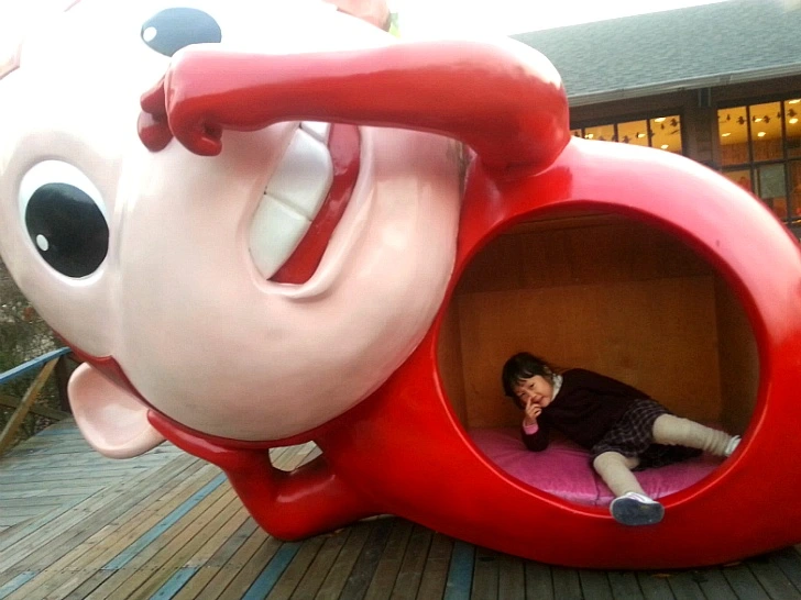 265FD434570CB0F9026BF8