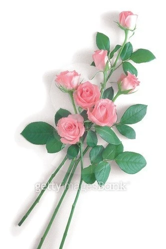 2_073Ud018svcxwzta3jq95k4_kmttt.jpg?type=e1920_std