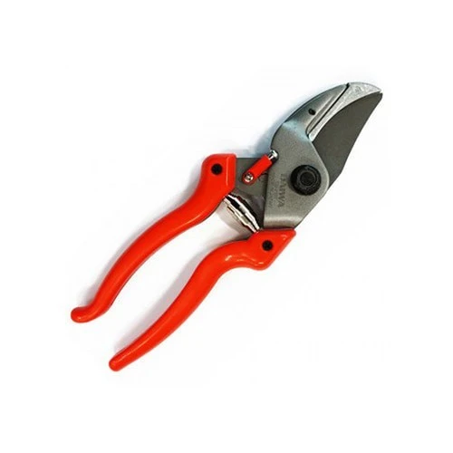 7_e73Ud018svce6fj9q06z7rx_kmttt.jpg?type=e1920_std