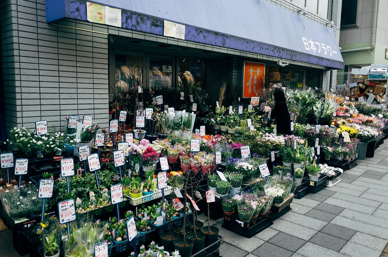 photo-1583316175512-5830e5f7f699.jfif