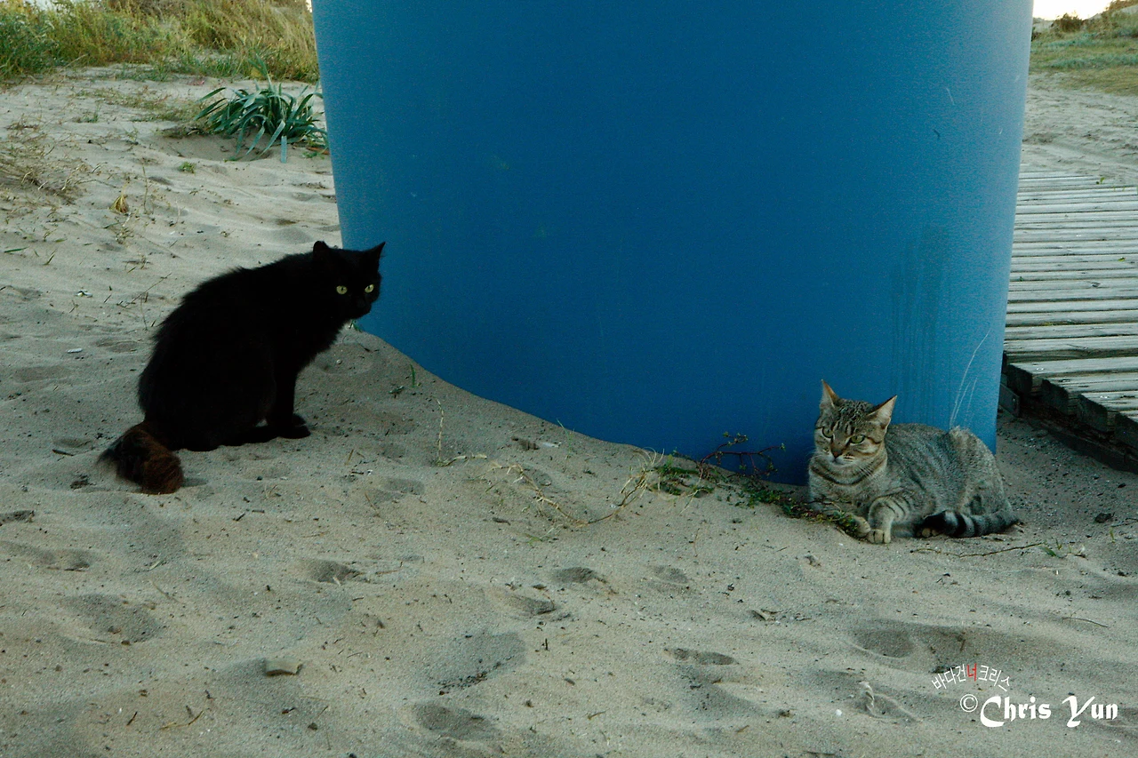 20141115 (24)-14.JPG