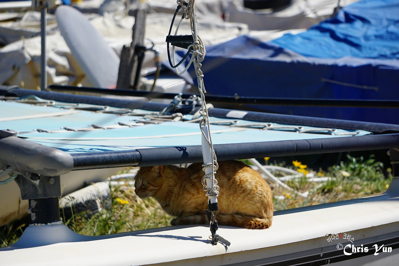 20170519  (222)-17.JPG