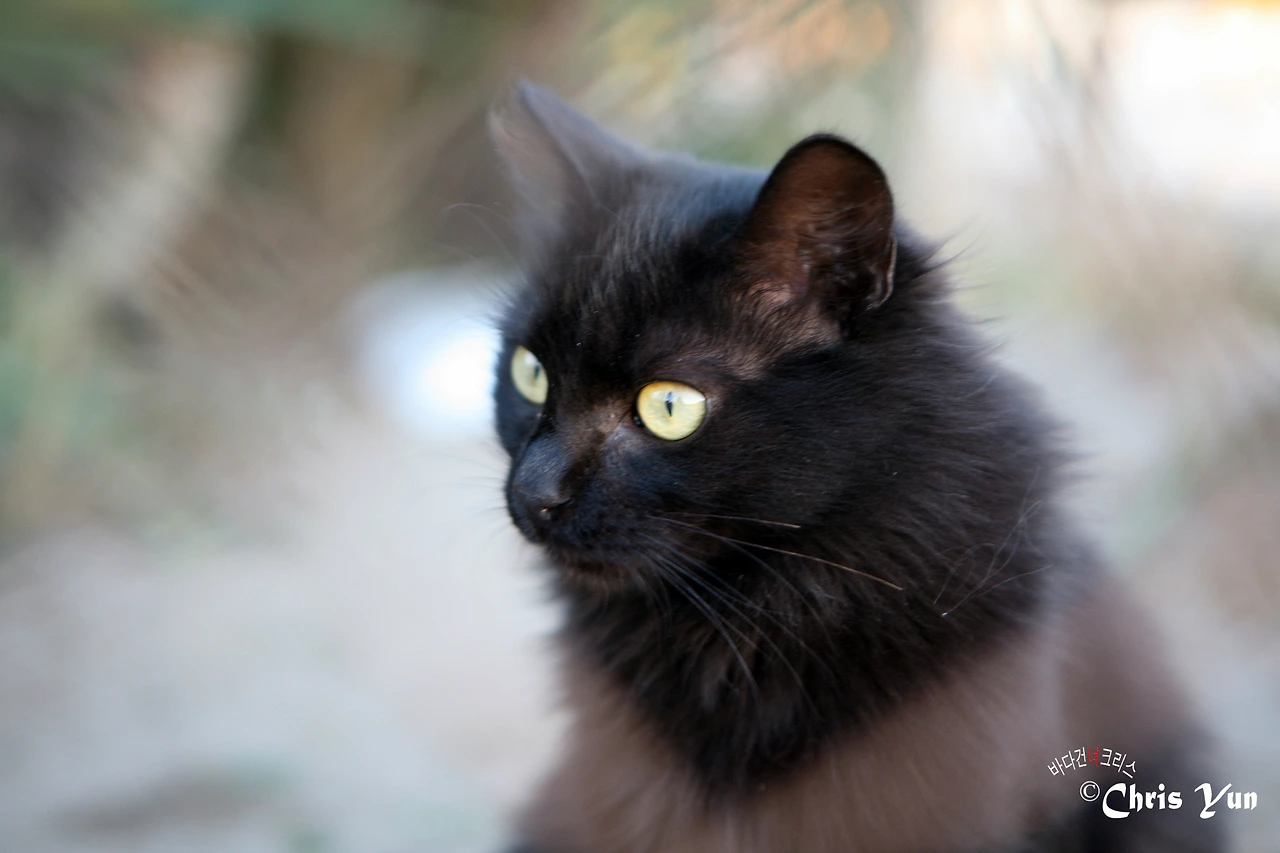 20141115 (104)-3.JPG