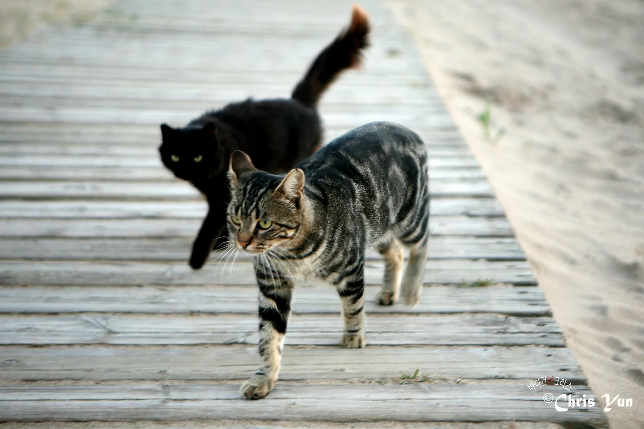 20141115 (132)-12.JPG