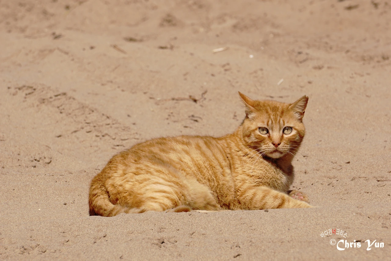 20170519  (201)-16.JPG