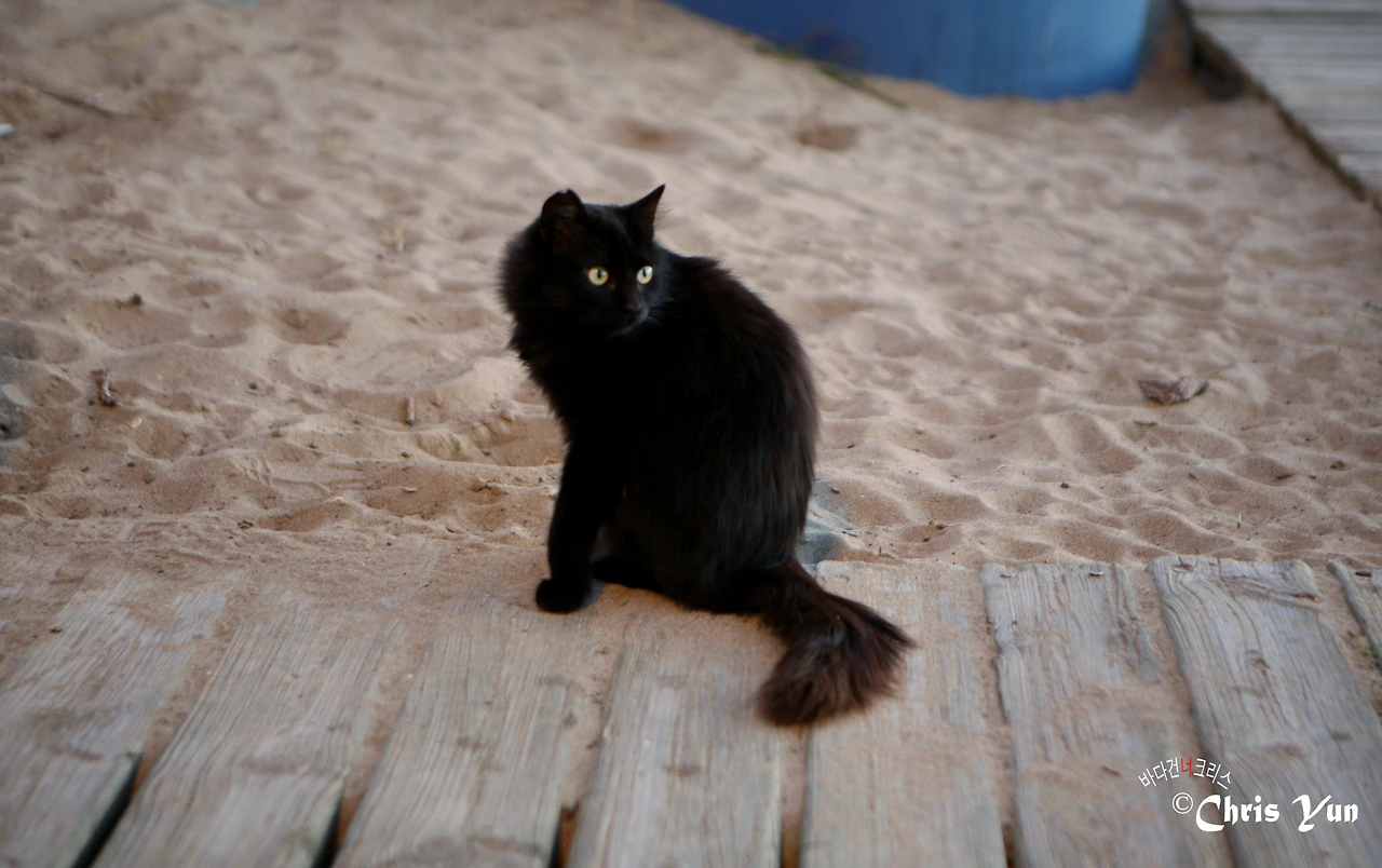 20141117 (49)-23.JPG