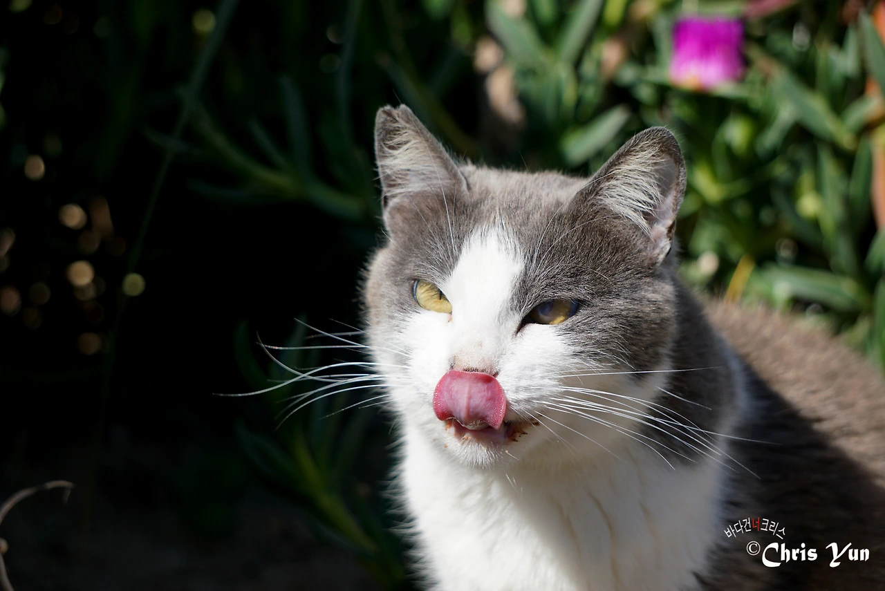 20170519  (37)-14.JPG