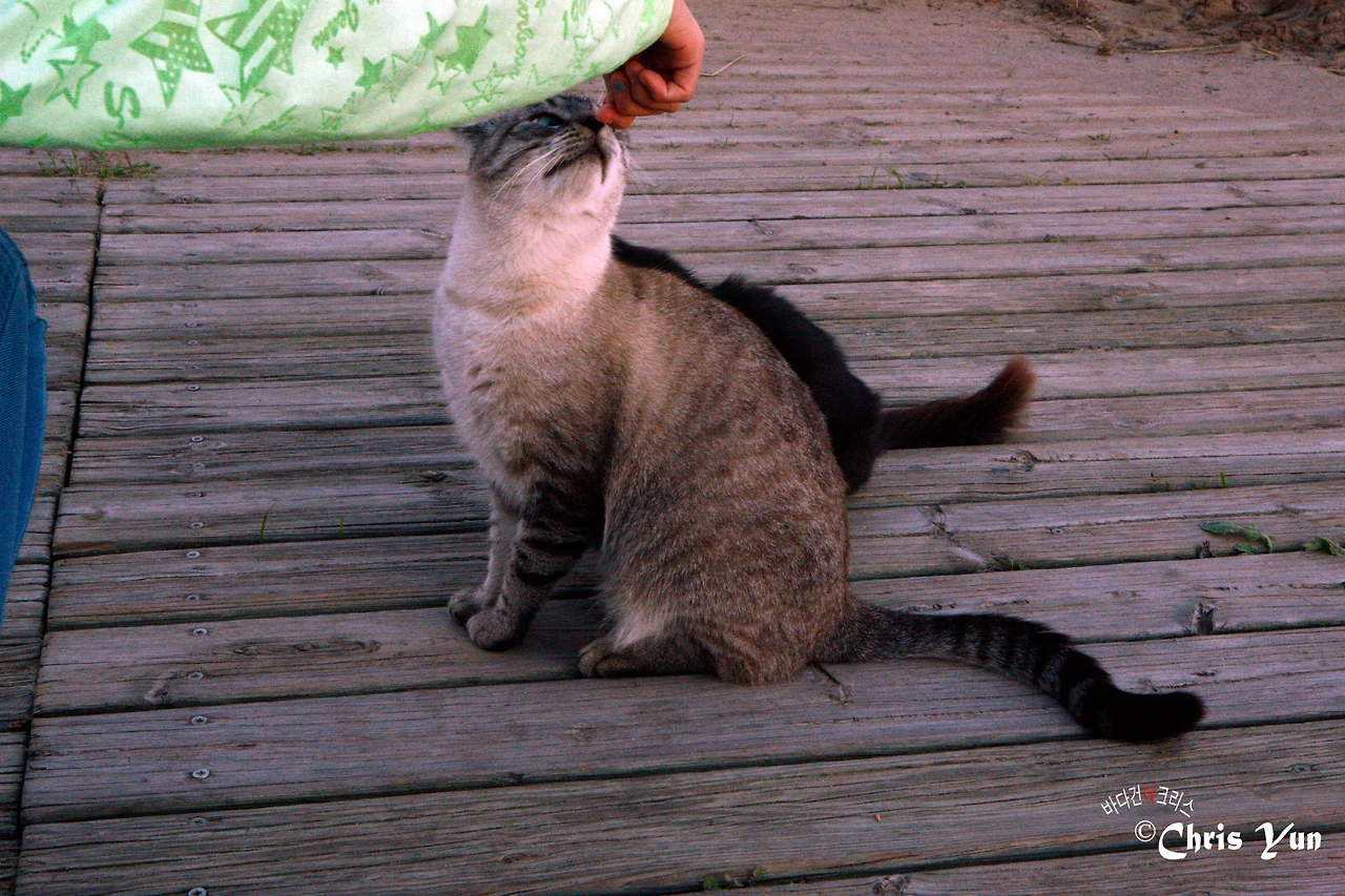 20141115 (61)-19.JPG