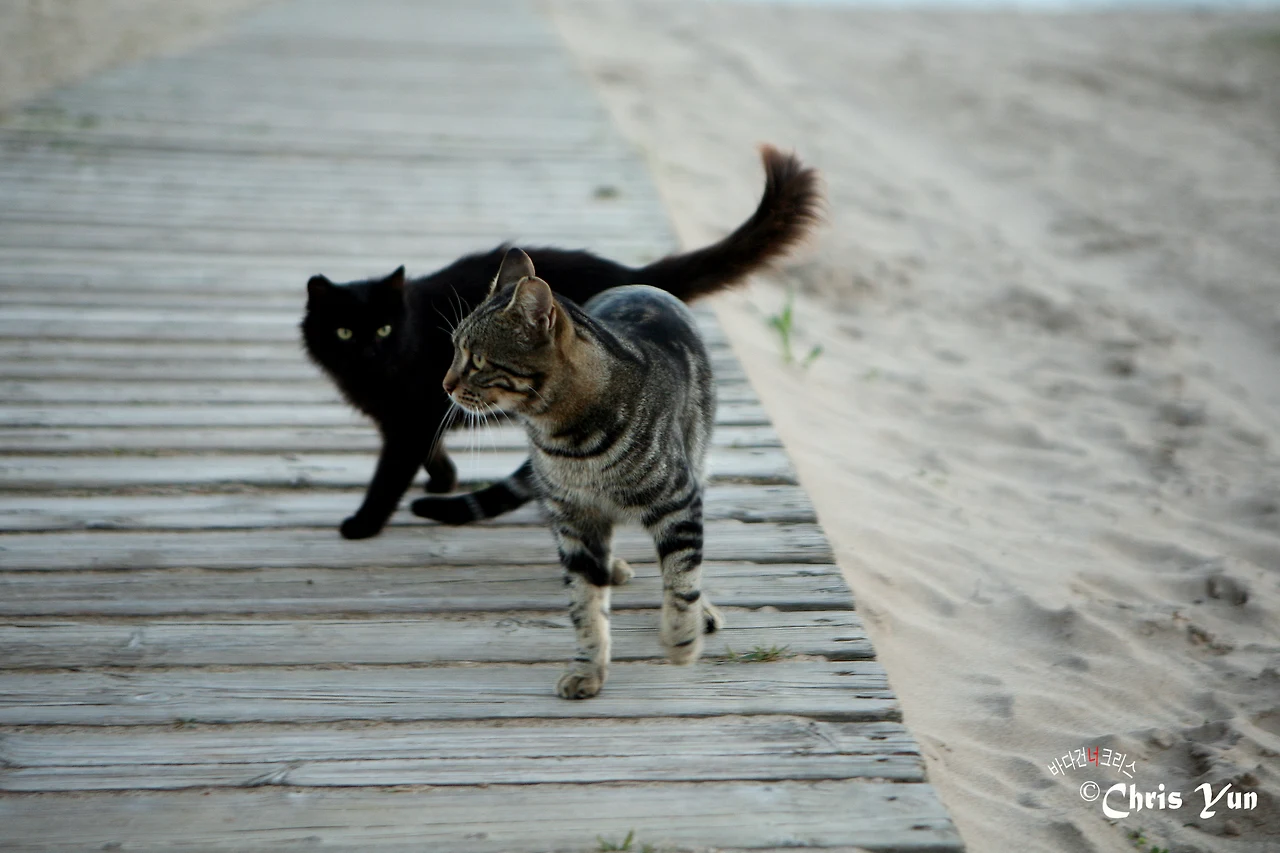 20141115 (131)-11.JPG