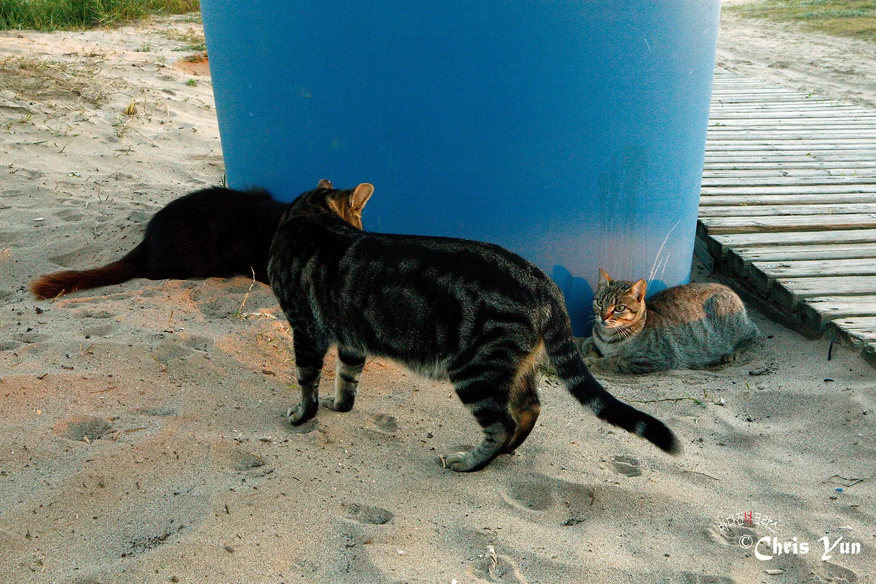 20141115 (36)-17.JPG