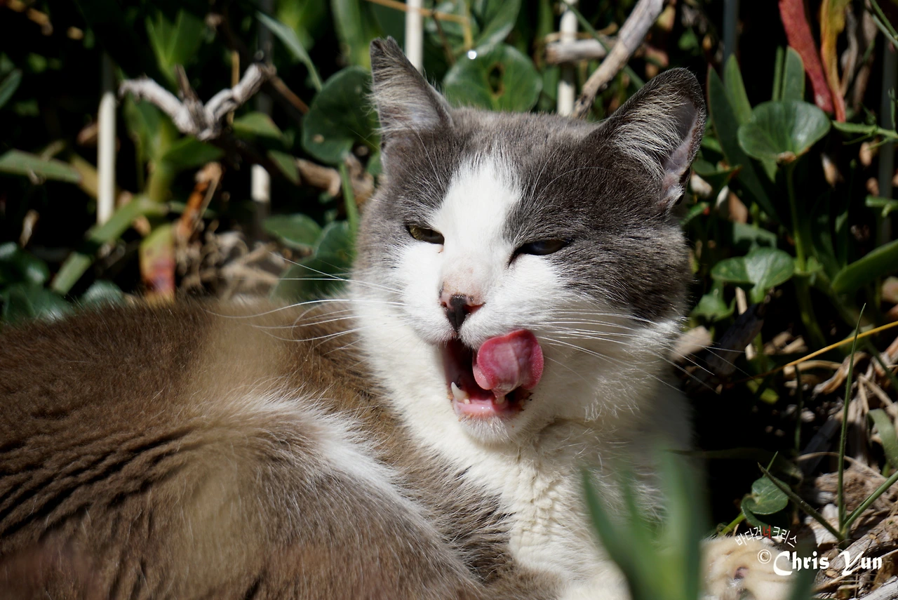 20170519  (60)-15.JPG