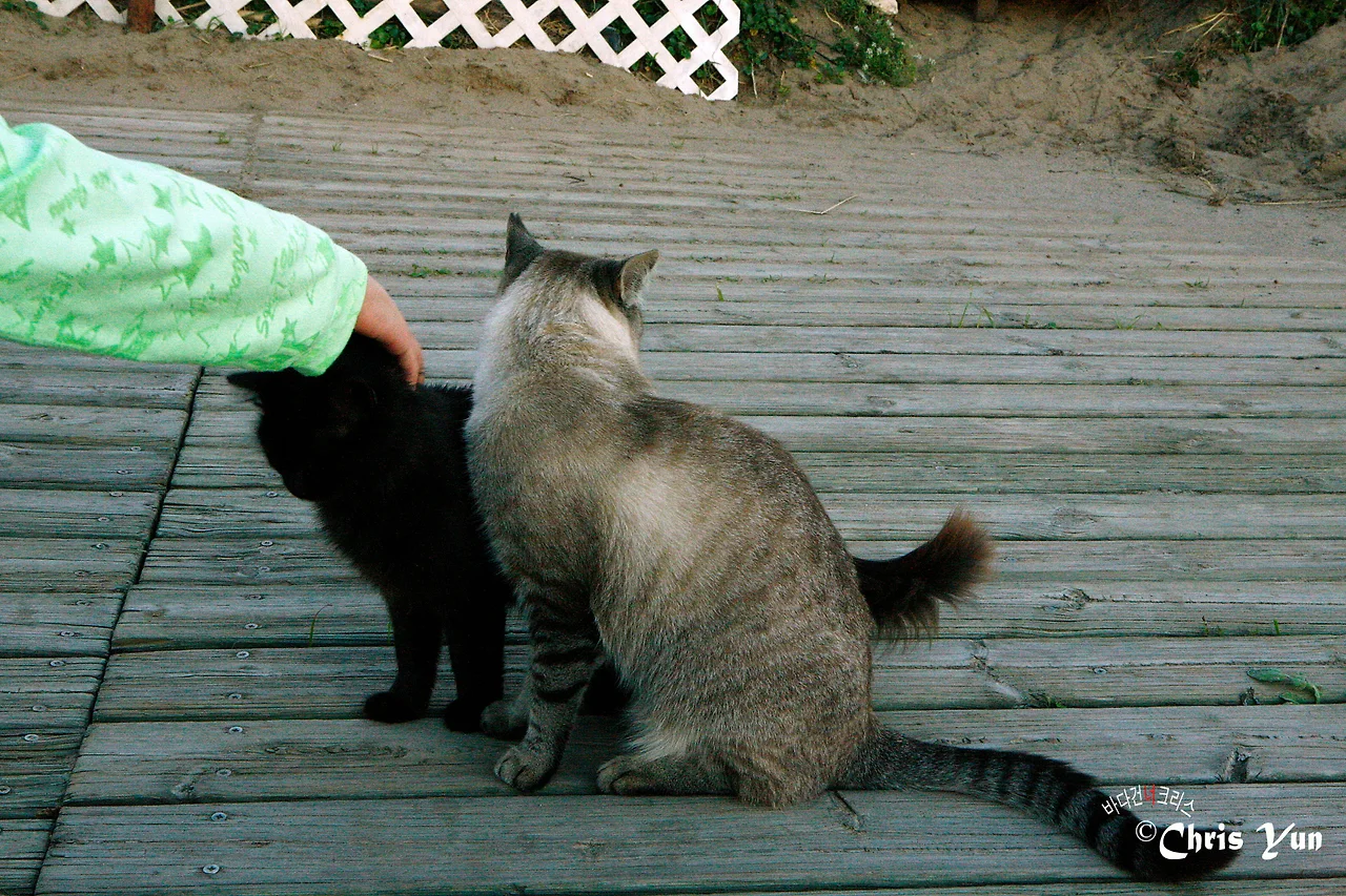 20141115 (62)-20.JPG