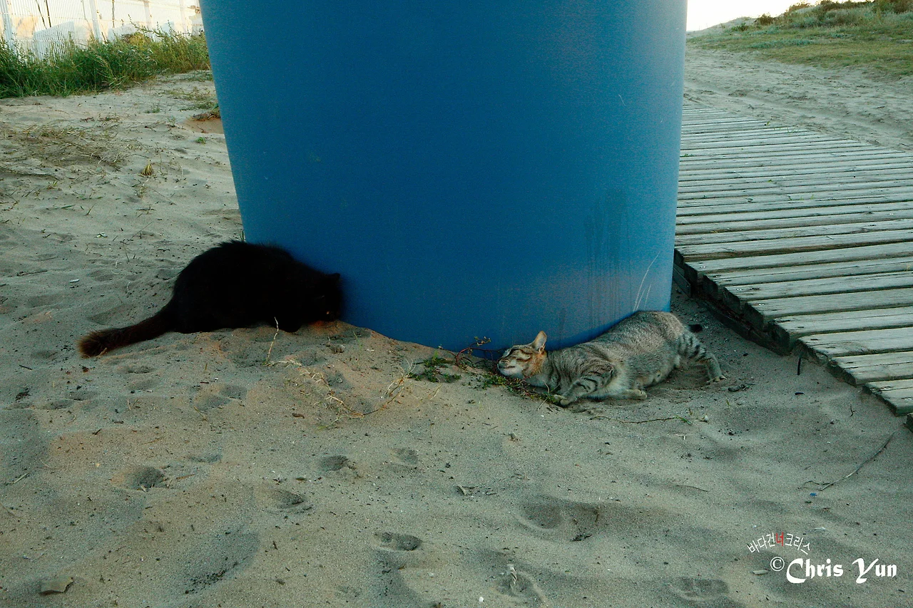 20141115 (33)-16.JPG