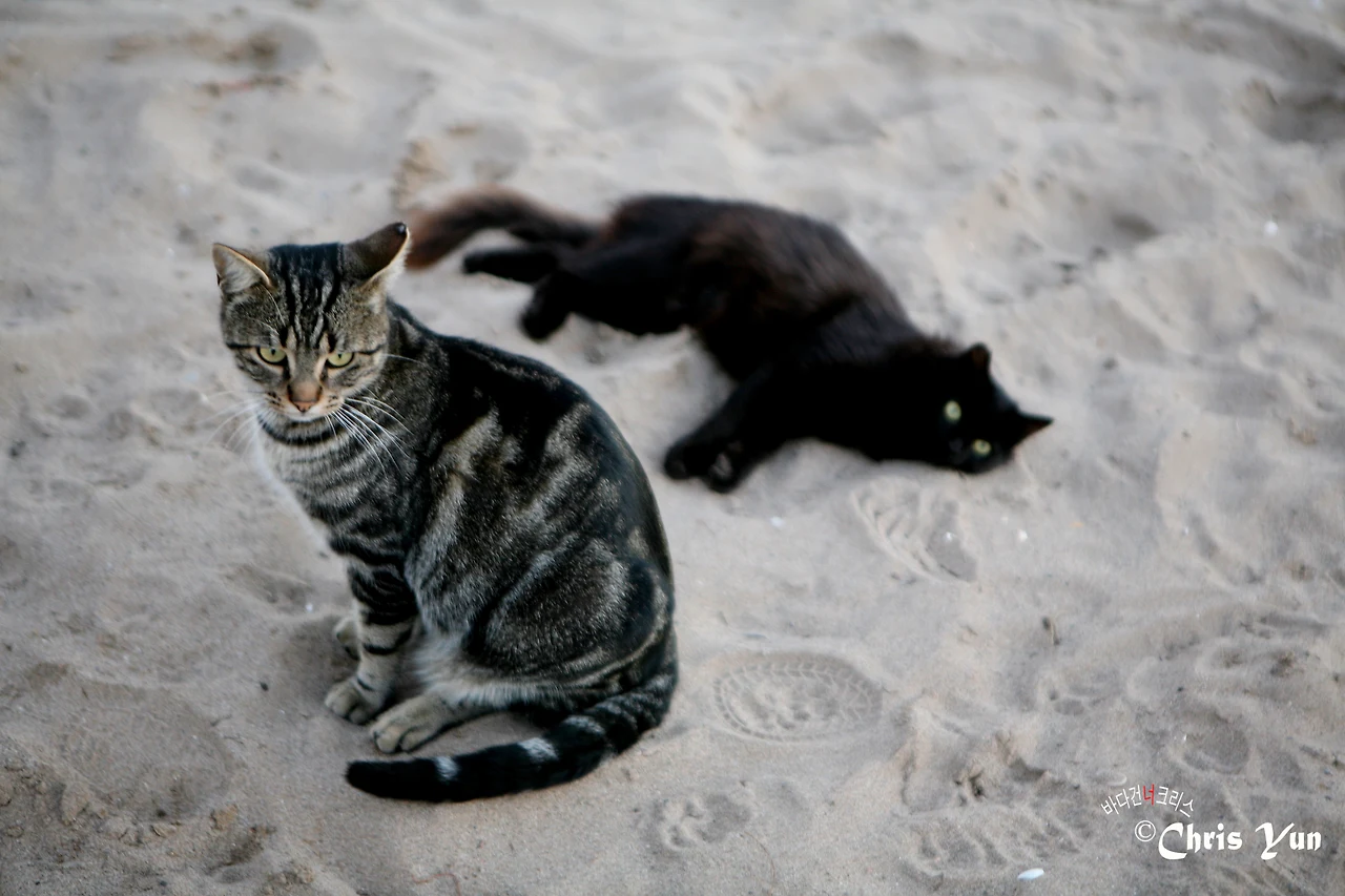 20141115 (124)-8.JPG