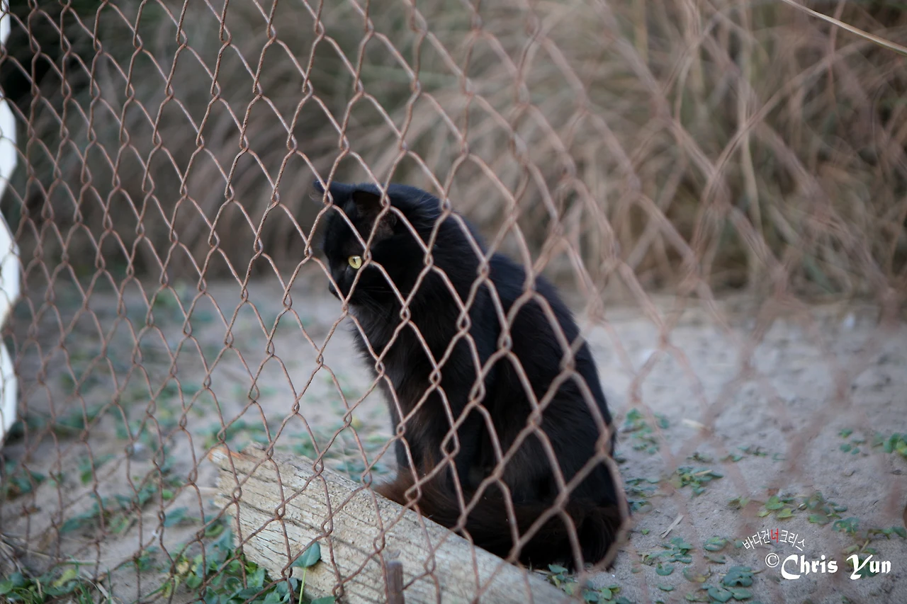 20141117 (17)-22.JPG