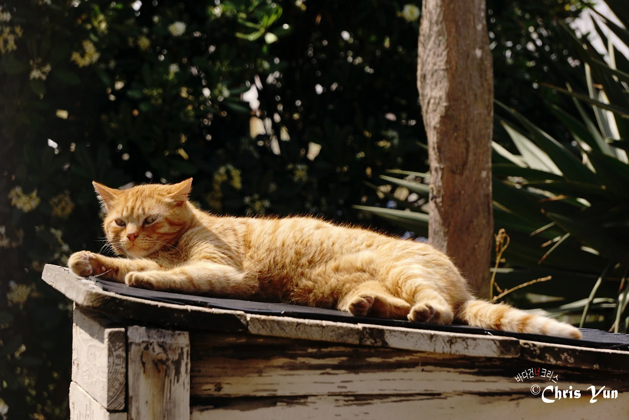 20170428 (15)-12.JPG