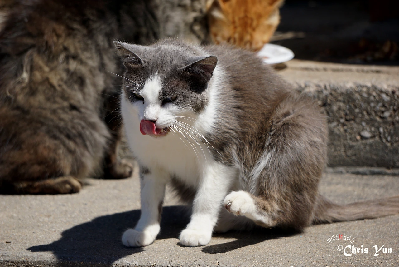 20170704 (14)-18.JPG