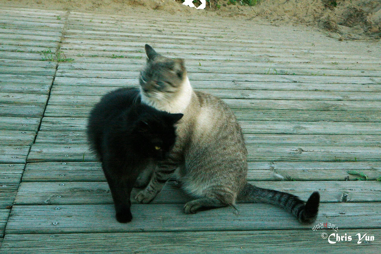 20141115 (64)-21.JPG