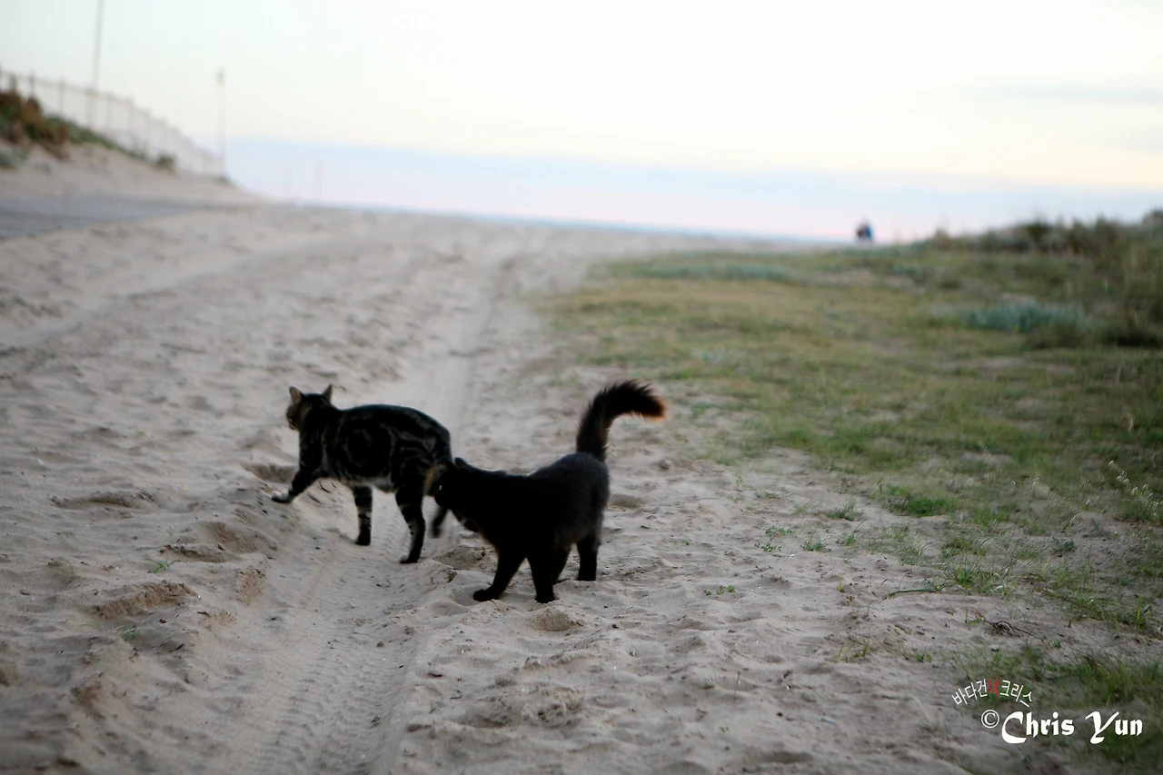 20141115 (125)-9.JPG