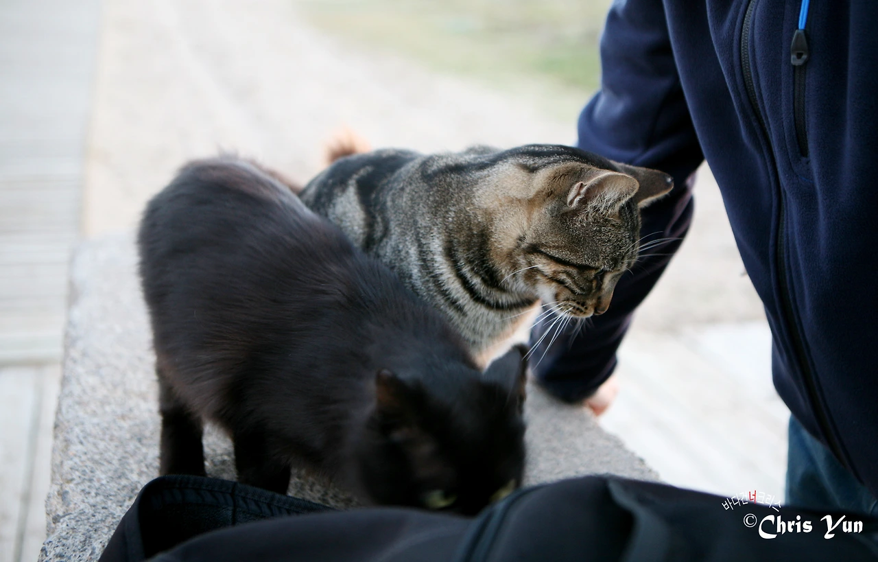 20141115 (139)-13.JPG