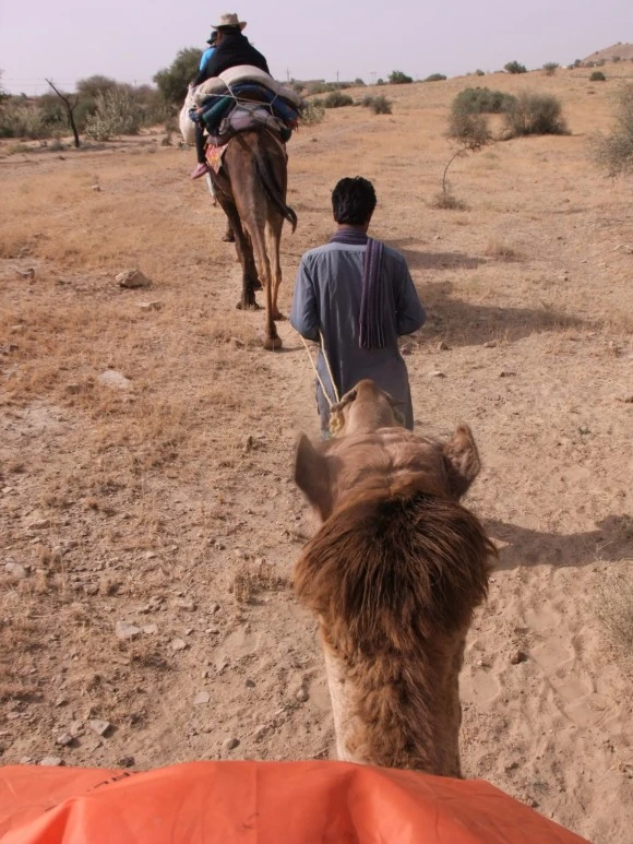 SE-e63ee405-b91a-404b-8534-34017c96c272.jpg?type=w580