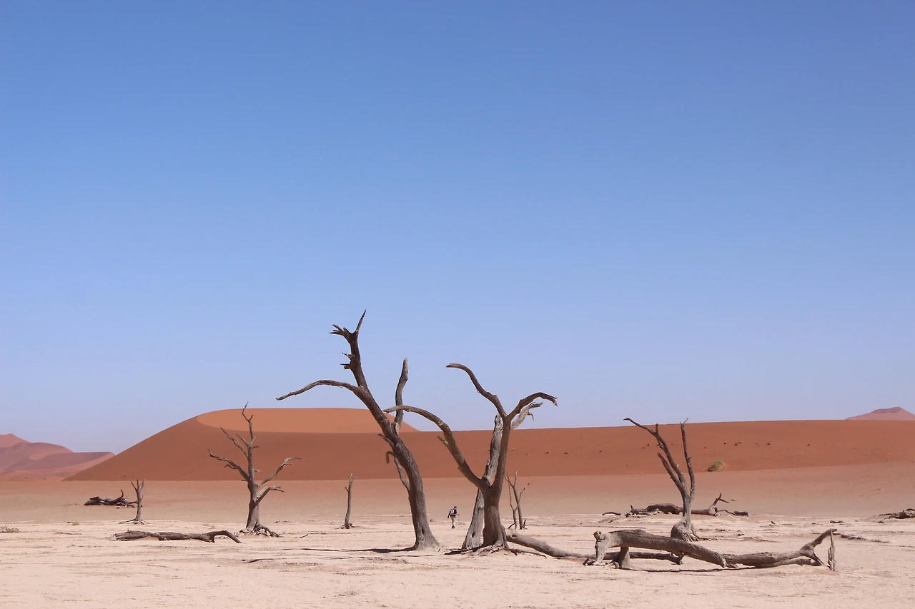 죽음의 웅덩이.JPG