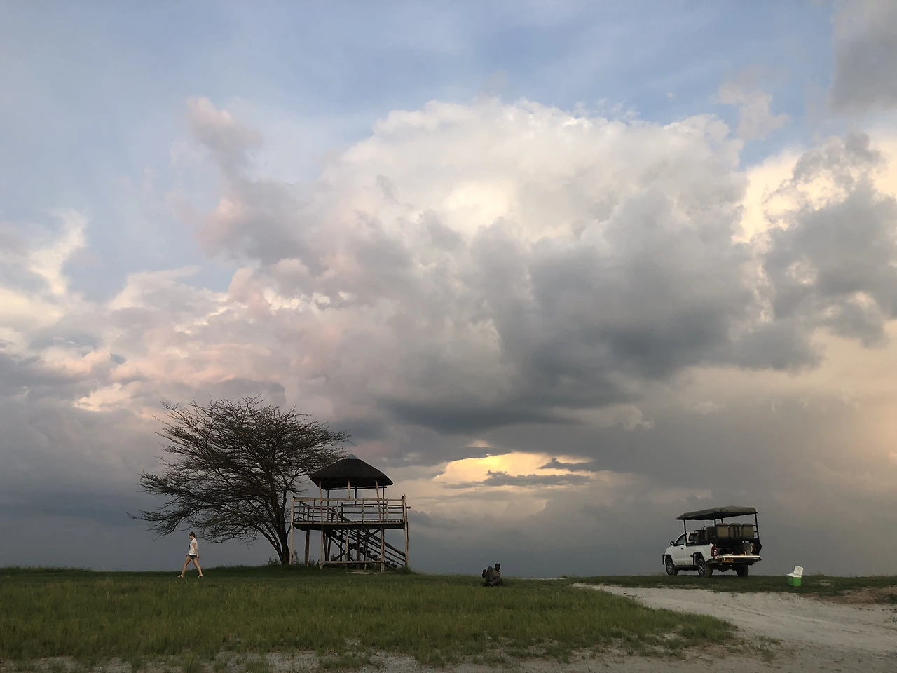 사진6-1. 마카디카디팬.jpeg