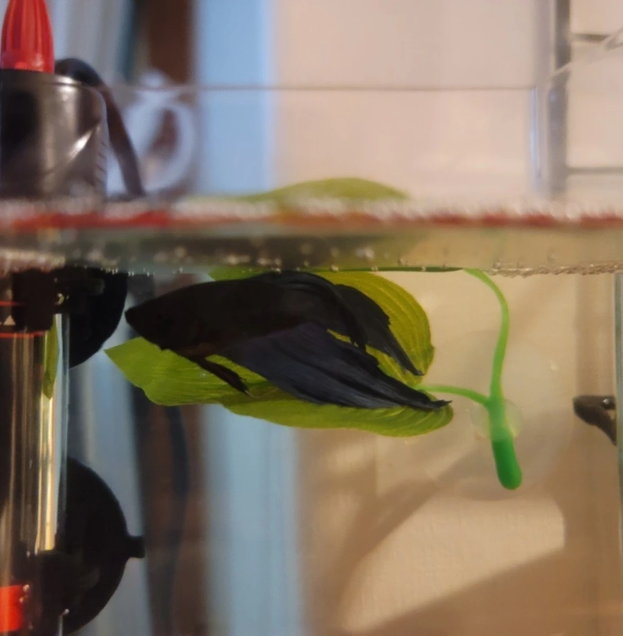 1670241561011.jpg?type=w3840