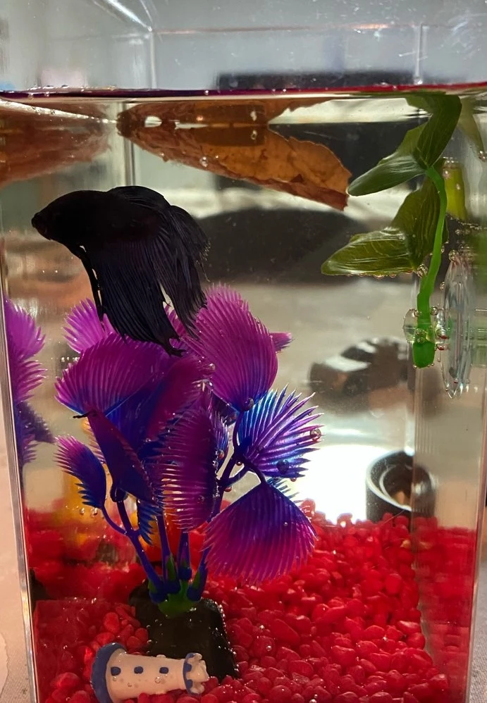 1670241561140.jpg?type=w3840