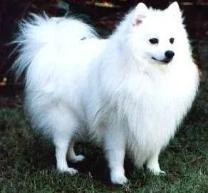 다운로드 (2).jfif