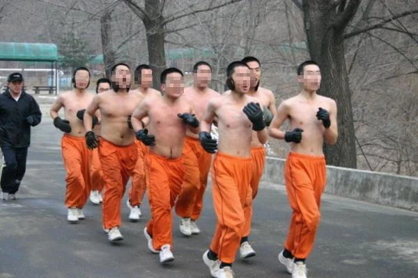 2272B345582BF1672C.jfif