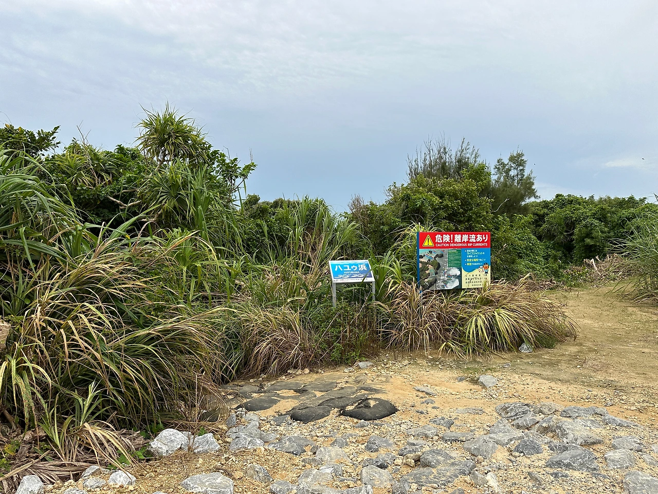 IMG_0016 복사본.JPG