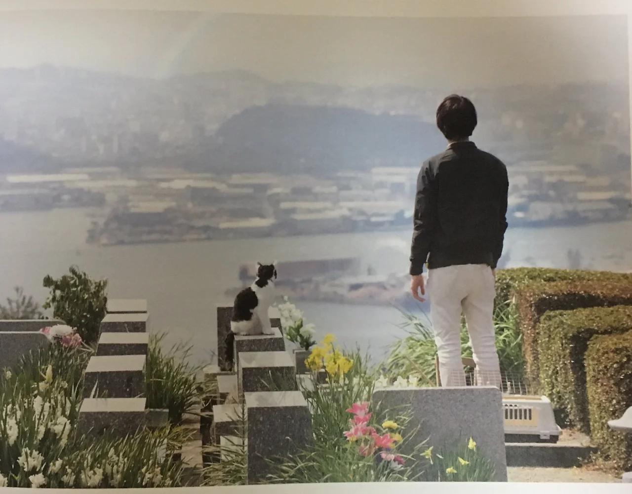 DscQhNYVYAAdyaa.jpg:large