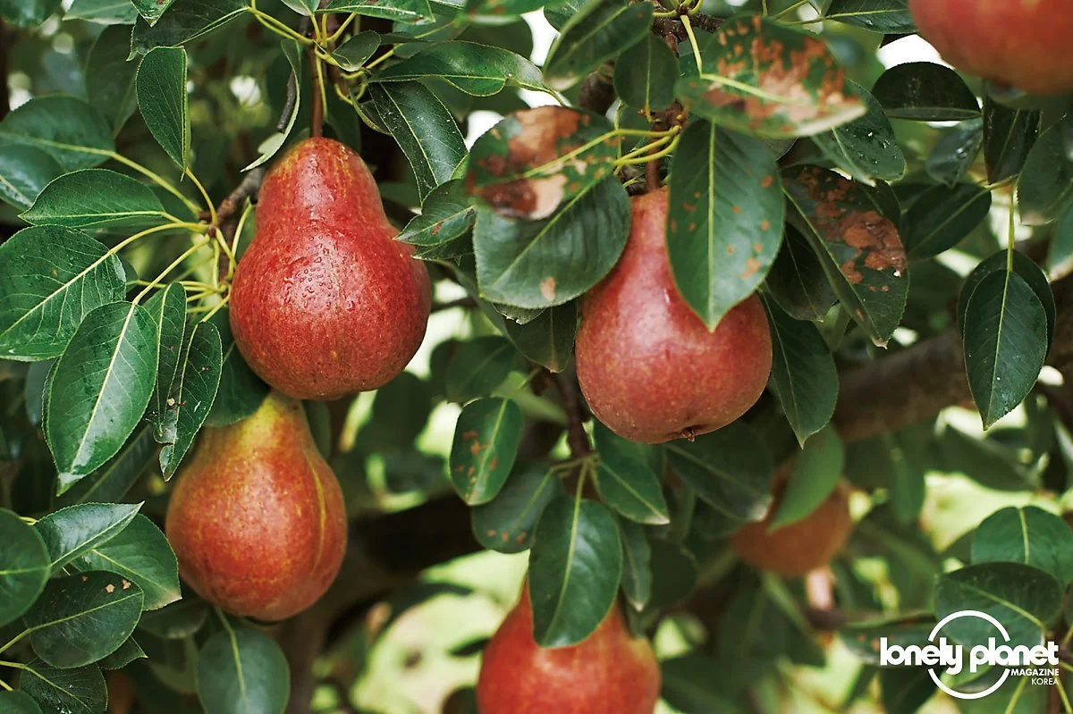 image_8393610111596619793200.jpg?type=w1200