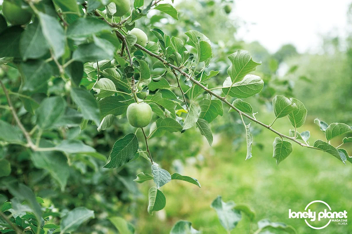 image_642284928916416.jpg?type=w1200