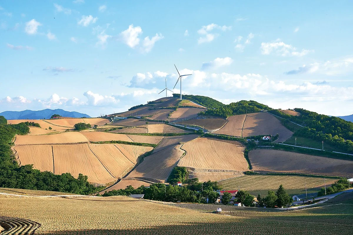 O_200611i_3050_E01_1.jpg?type=w1200