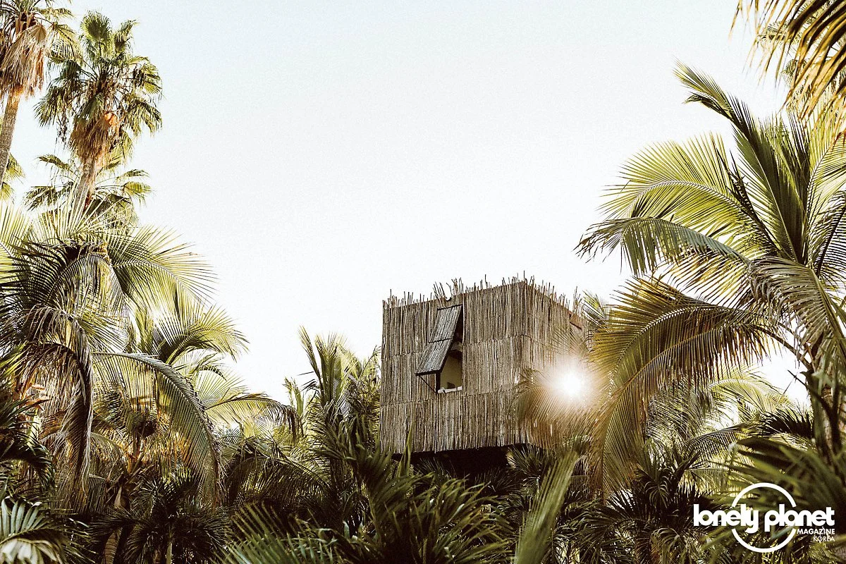 image_3897590291597462422422.jpg?type=w1200