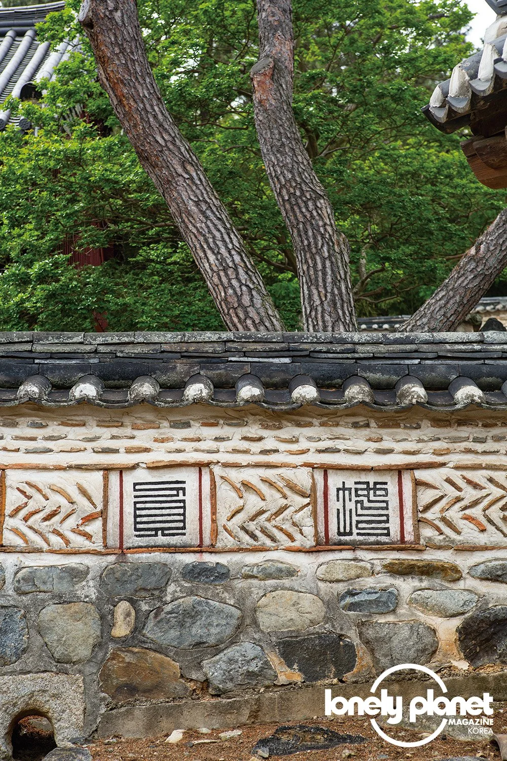 image_8068991381594193825562.jpg?type=w1200