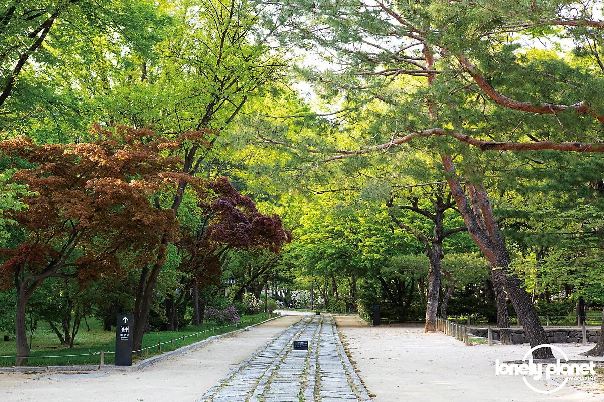 image_1213415321595413159526.jpg?type=w1200