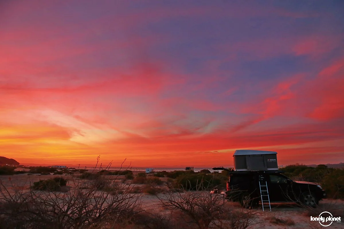 image_3634995971599012712433.jpg?type=w1200