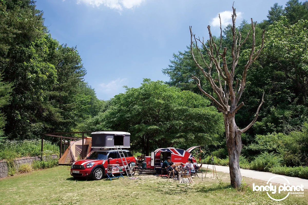 image_8081760541595246271277.jpg?type=w1200