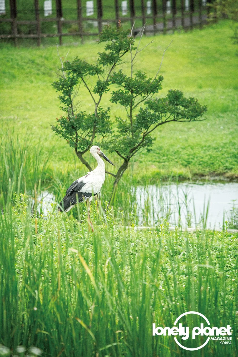 image_7587844771596448253188.jpg?type=w1200