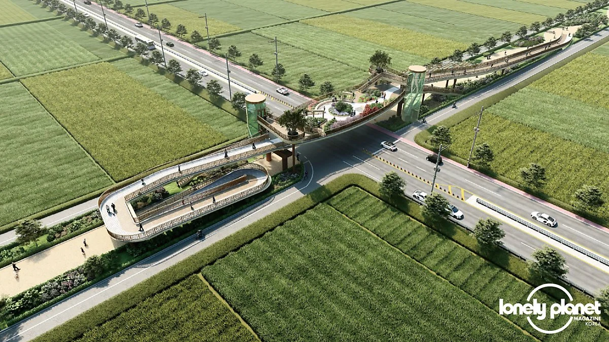 image_3513319991598248929678.jpg?type=w1200